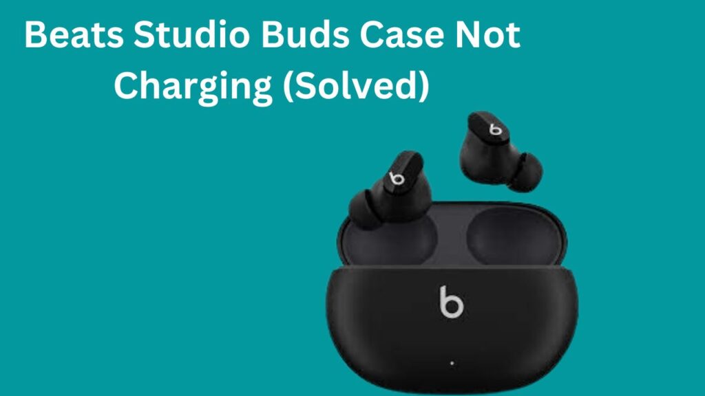 Beats Studio Buds Case Not Charging